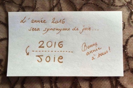 2016 joie